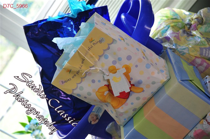 Howe's Cave Baby Shower