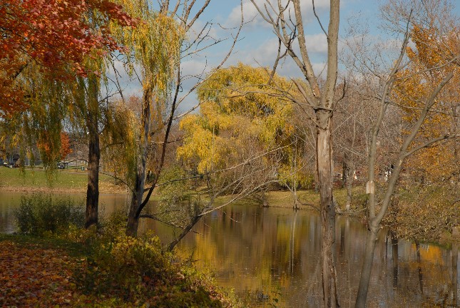 Albany NY Park
