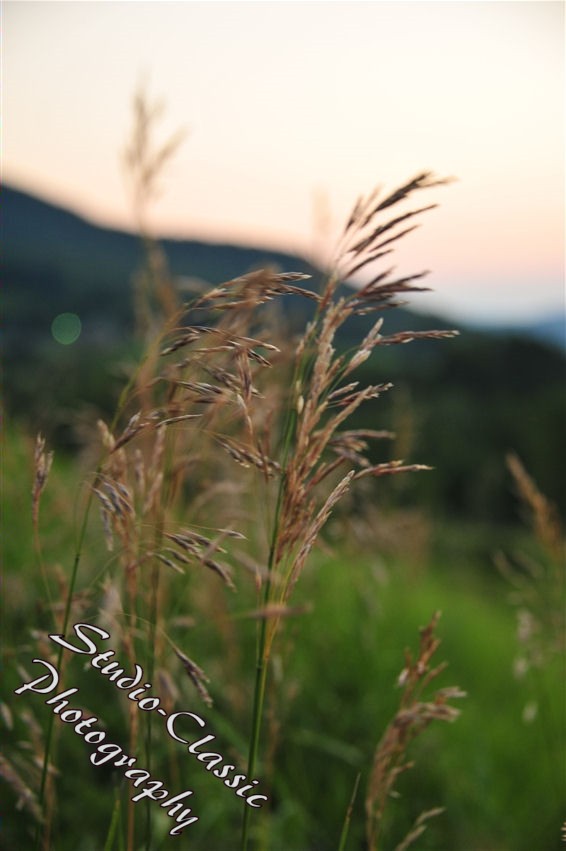Cobleskill Scenic