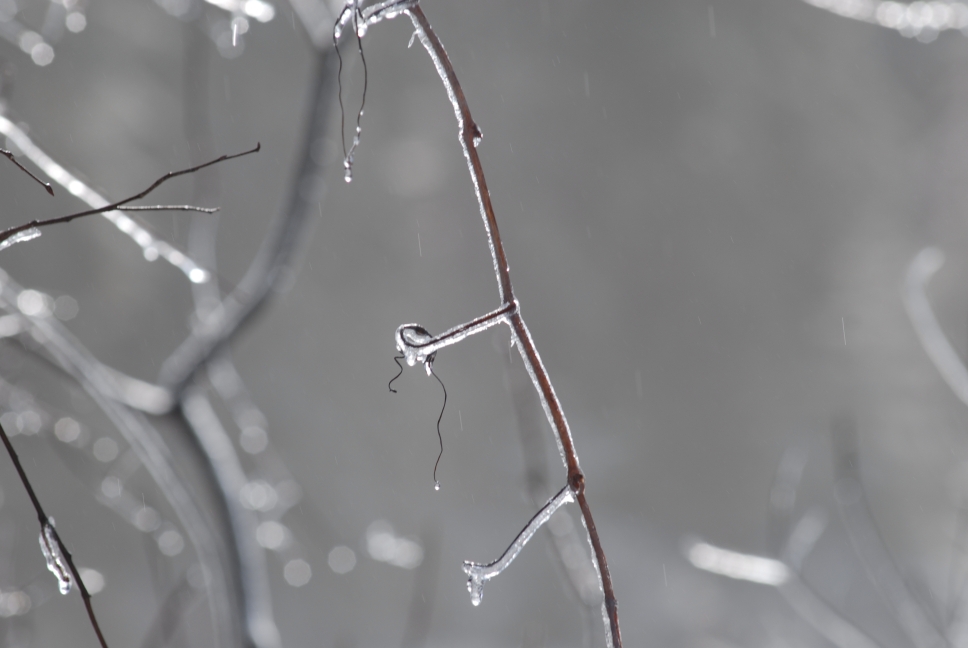Schoharie County IceStorm