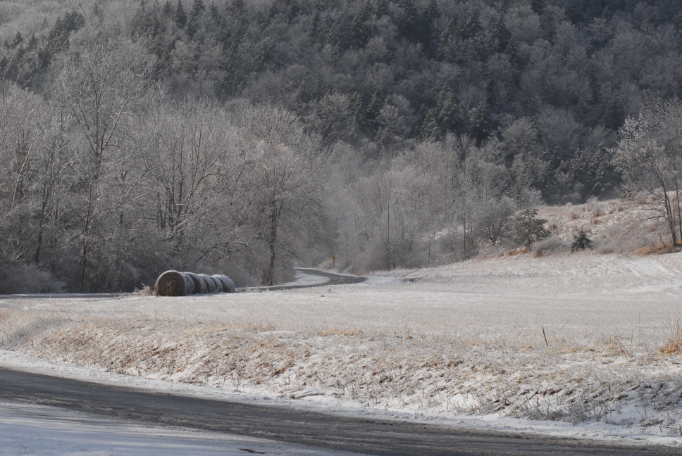 Schoharie County IceStorm
