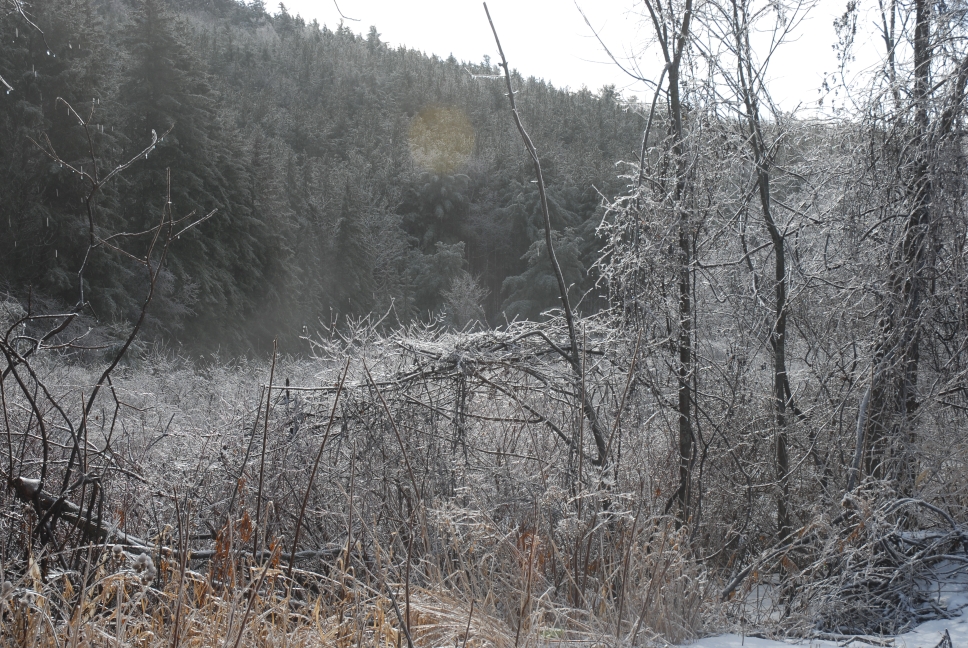 Schoharie County IceStorm