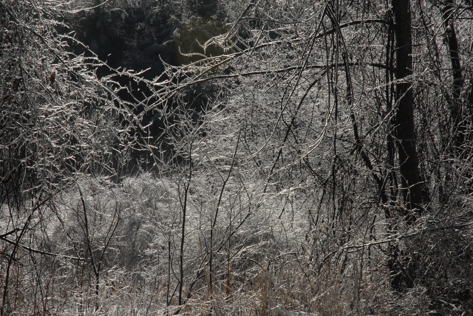 Schoharie County IceStorm
