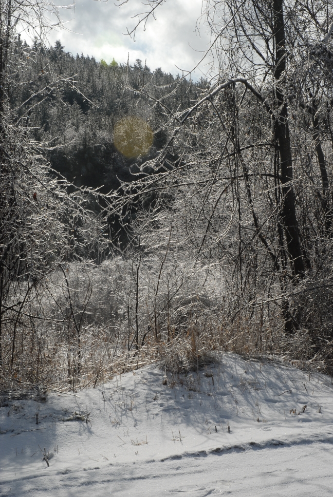 Schoharie County IceStorm