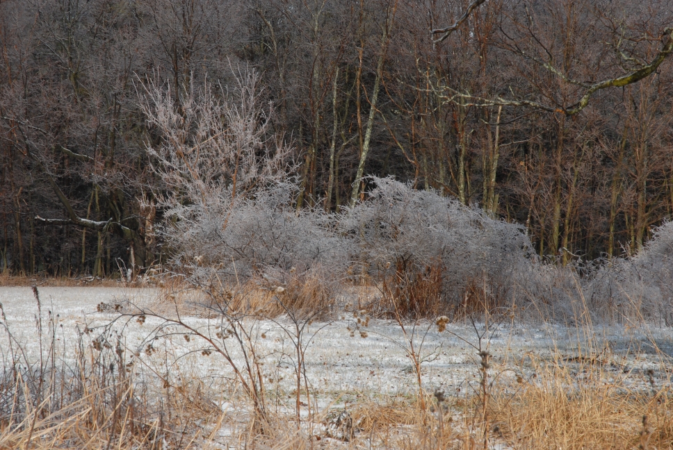 Schoharie County IceStorm