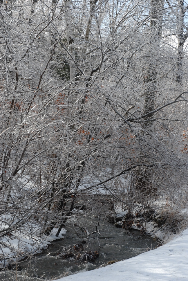 Schoharie County IceStorm