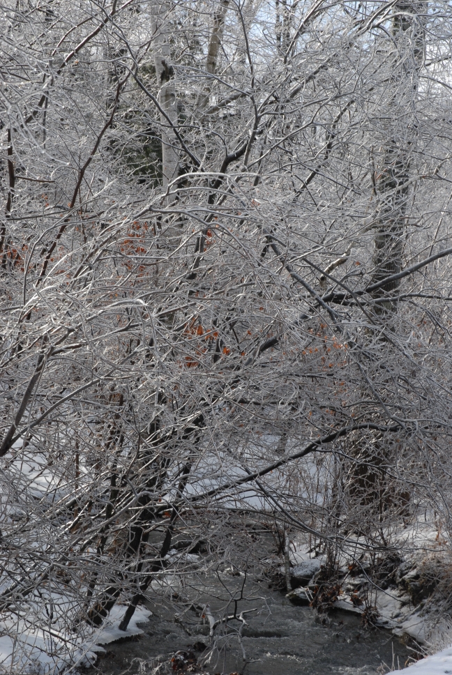 Schoharie County IceStorm