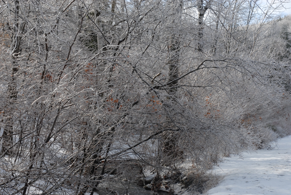 Schoharie County IceStorm