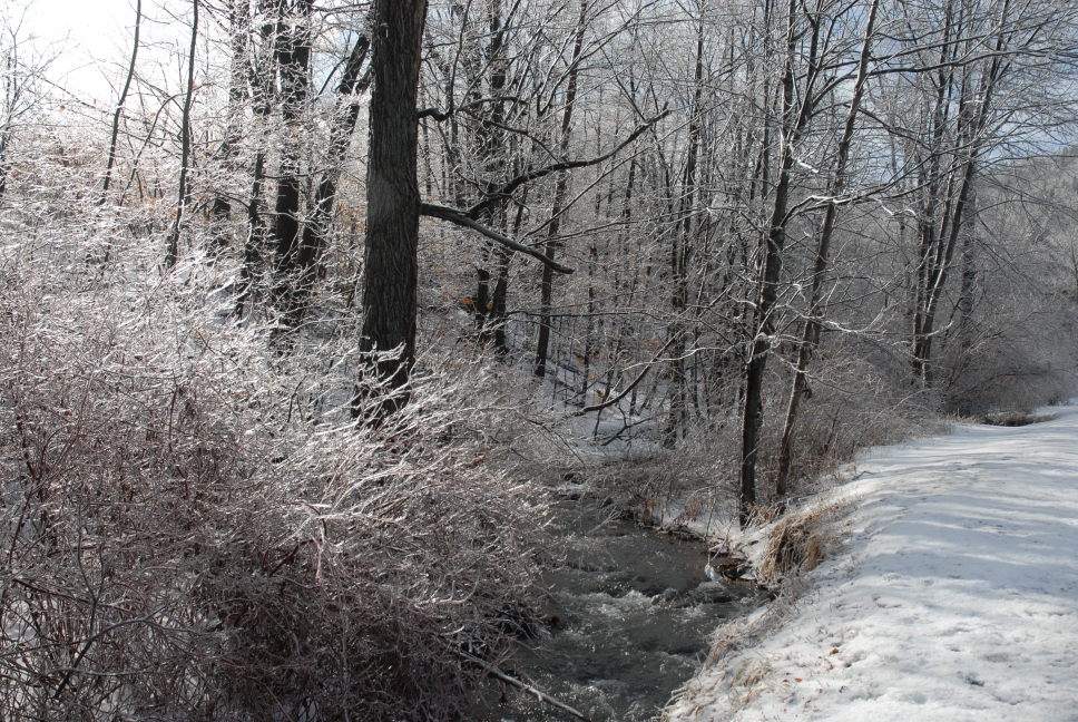 Schoharie County IceStorm