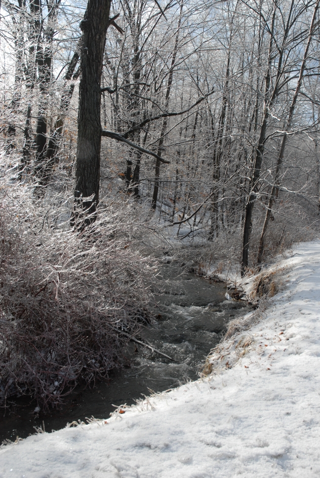 Schoharie County IceStorm