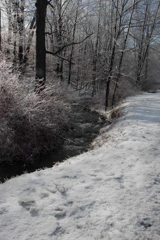 Schoharie County IceStorm