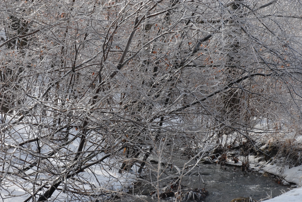 Schoharie County IceStorm