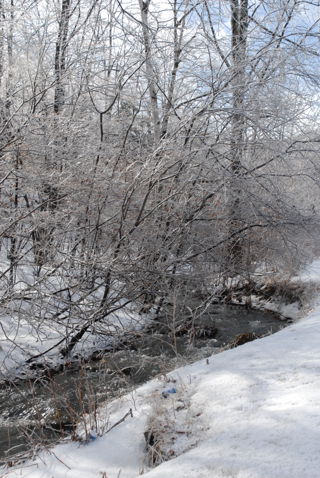 Schoharie County IceStorm