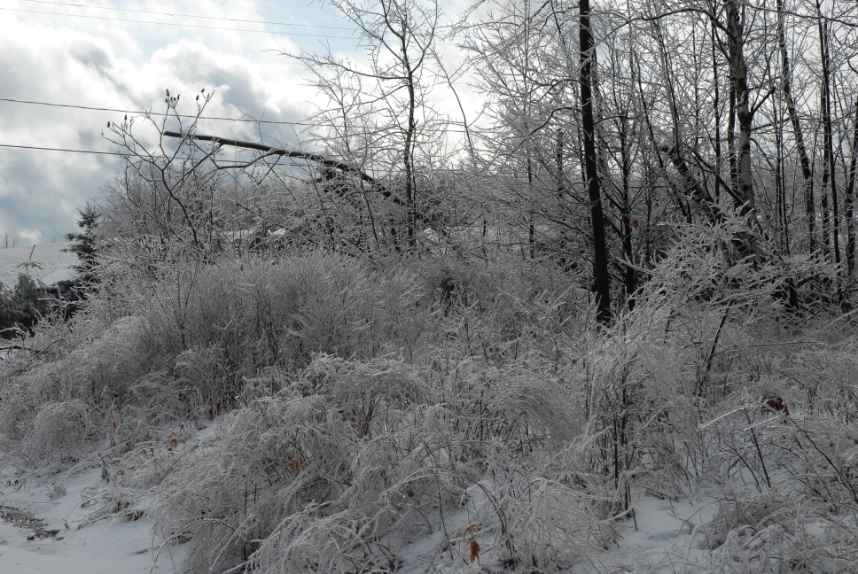 Schoharie County IceStorm