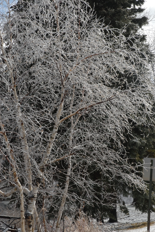 Schoharie County IceStorm