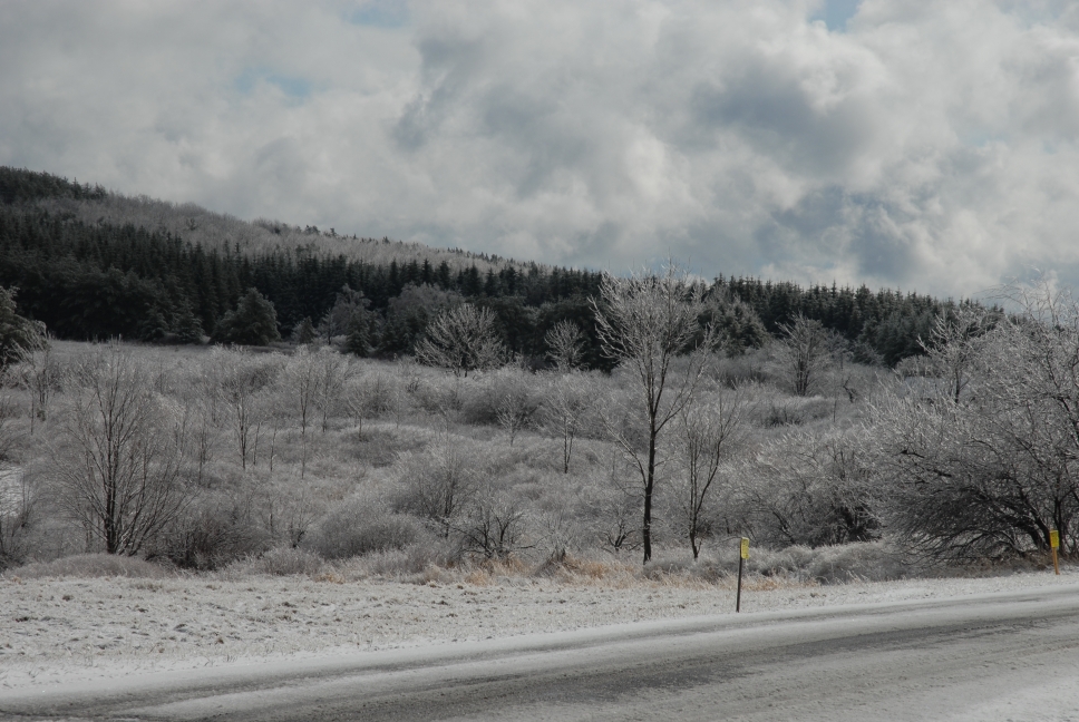 Schoharie County IceStorm