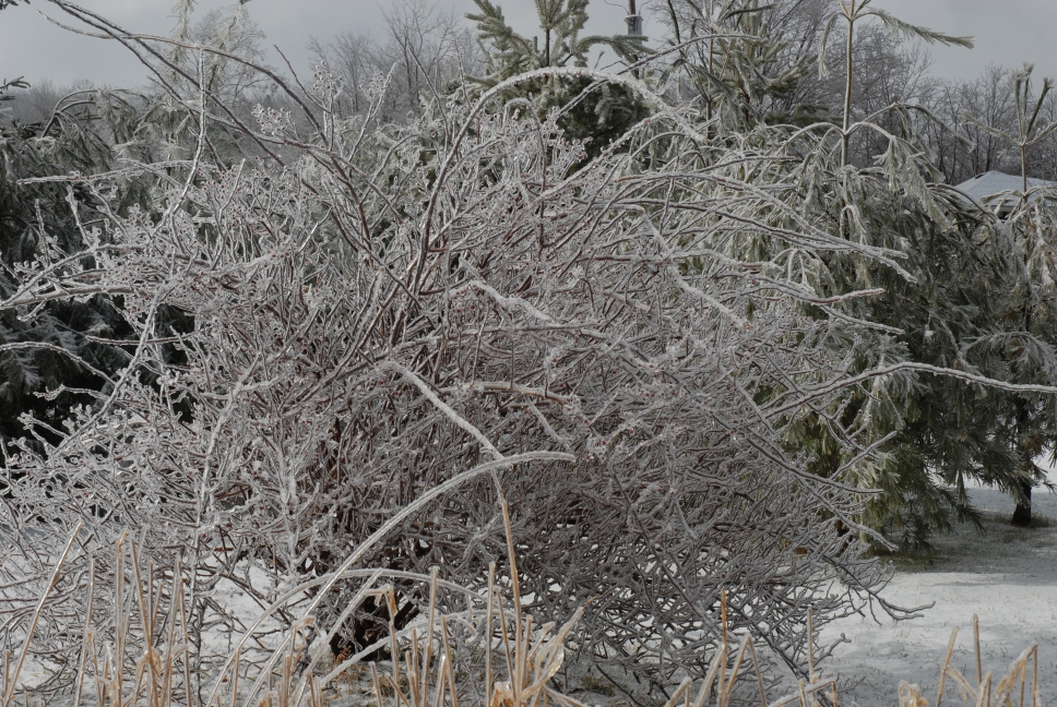Schoharie County IceStorm