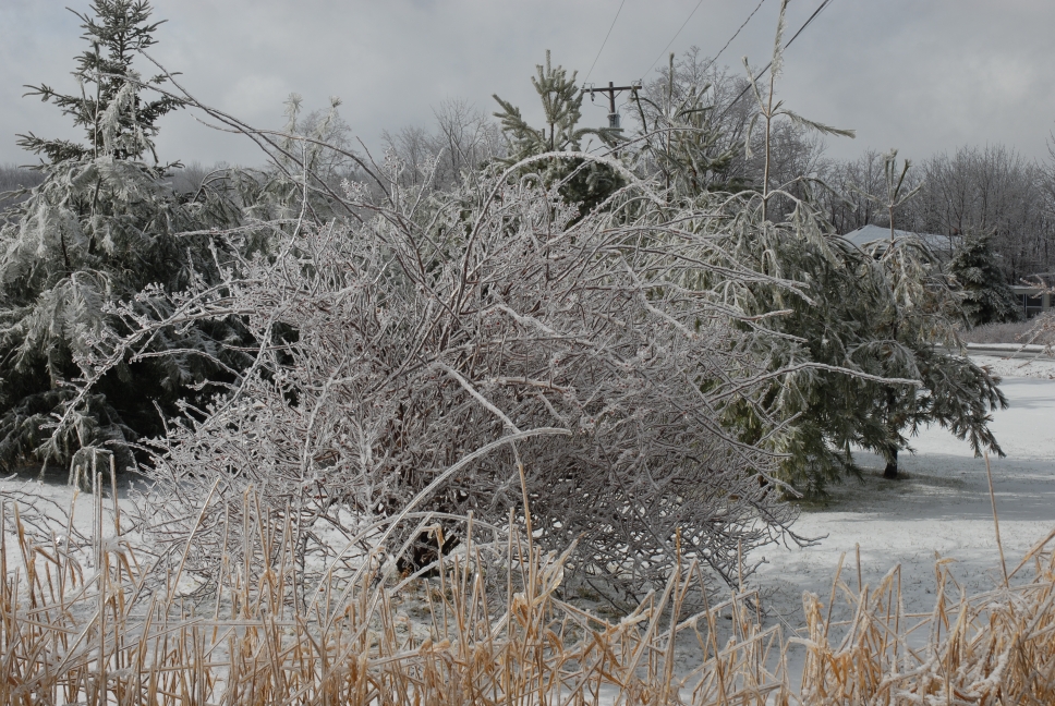 Schoharie County IceStorm