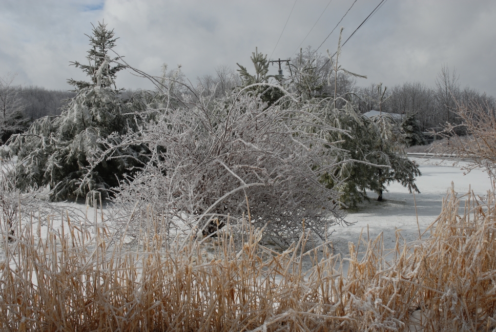 Schoharie County IceStorm