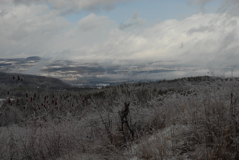 Schoharie County IceStorm