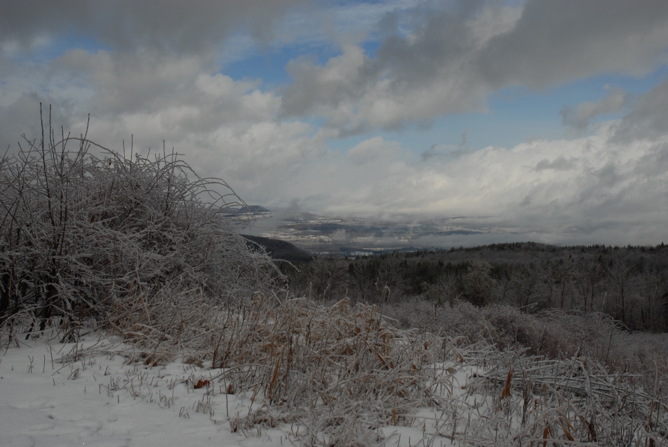 Schoharie County IceStorm