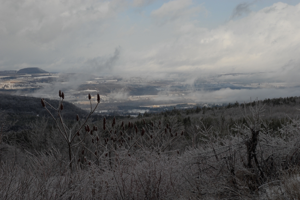 Schoharie County IceStorm