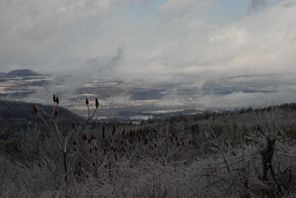 Schoharie County IceStorm