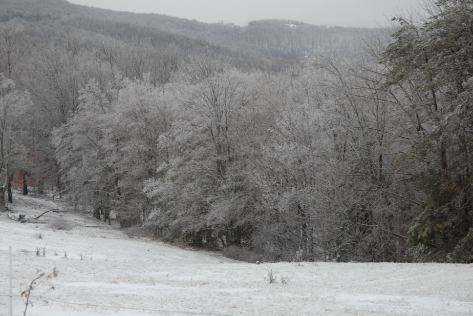 Schoharie County IceStorm