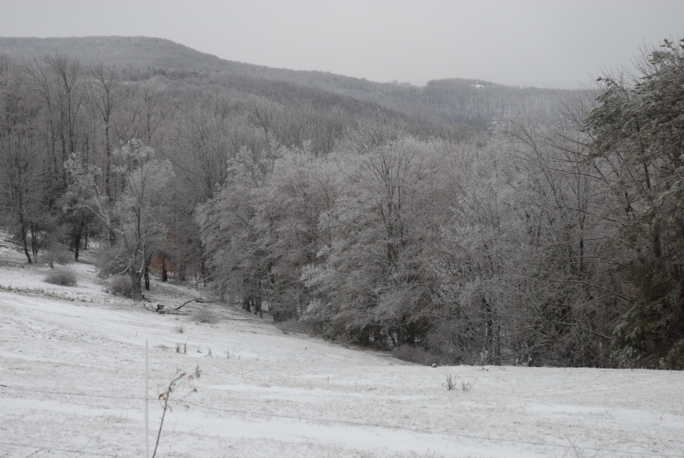 Schoharie County IceStorm