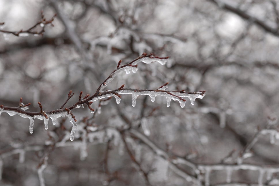 Schoharie County IceStorm
