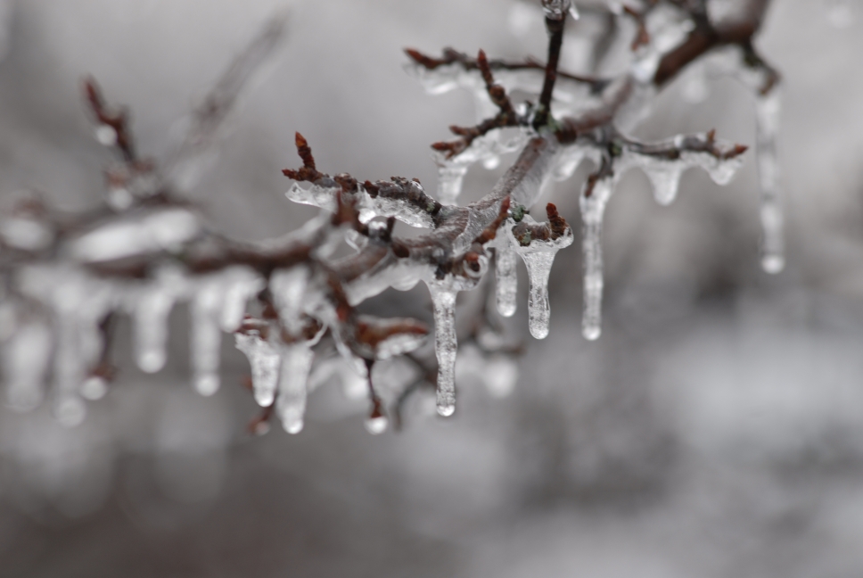 Schoharie County IceStorm
