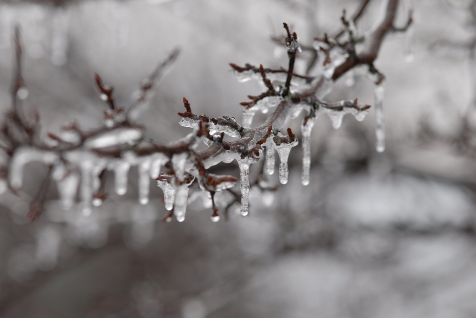 Schoharie County IceStorm