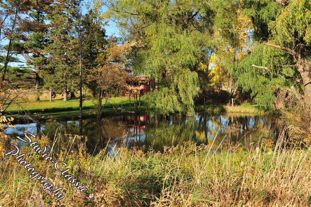 Albany NY Fall Images