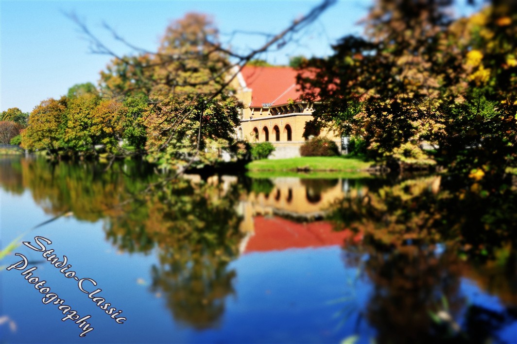 Albany NY Fall Images