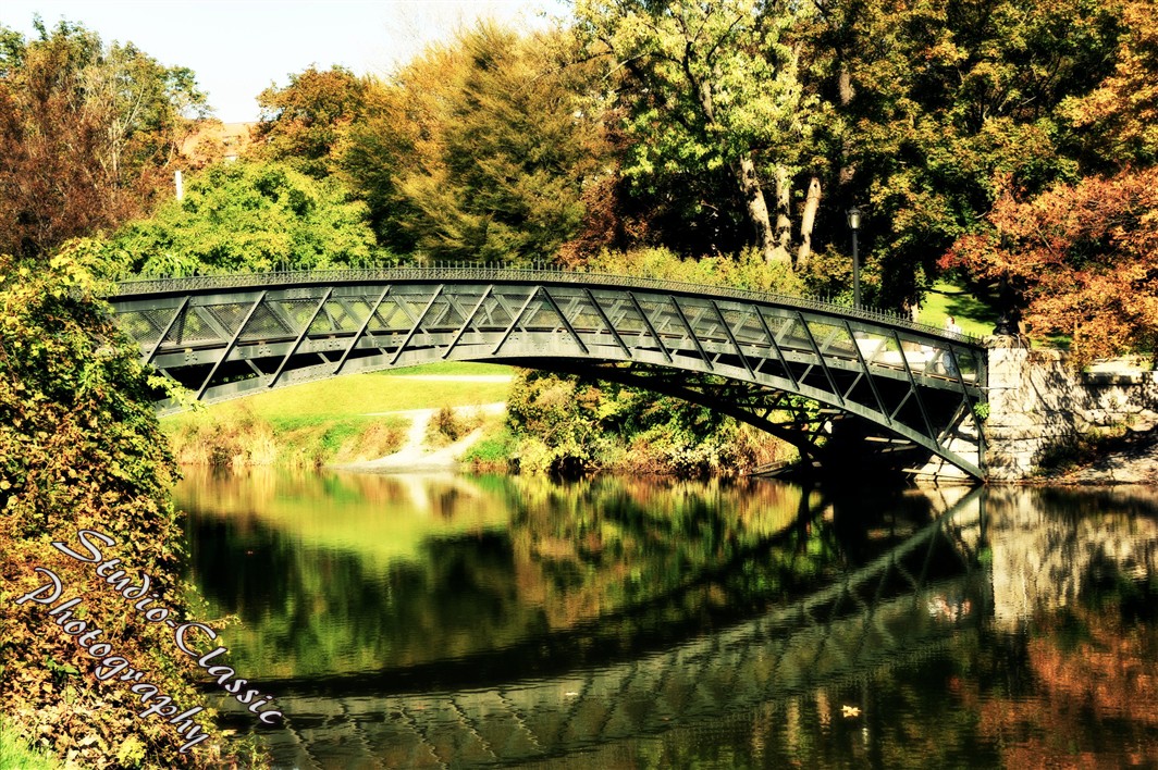 Albany NY Fall Images