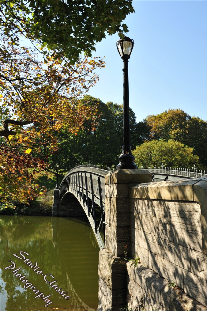 Albany NY Fall Images