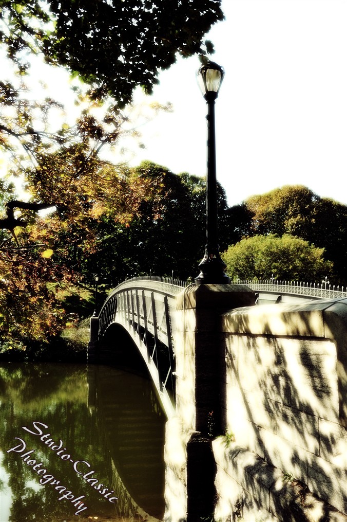 Albany NY Fall Images