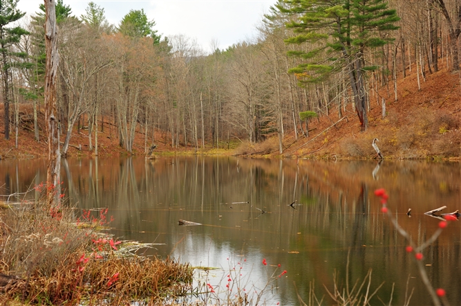 Scenic Photos