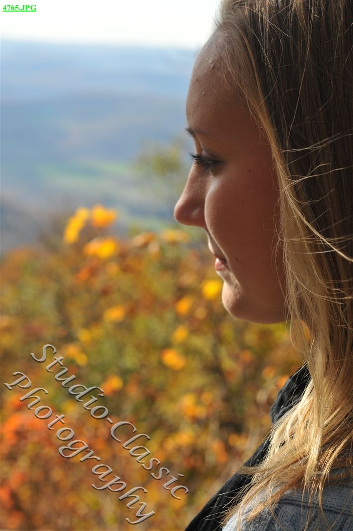 Stamford Senior