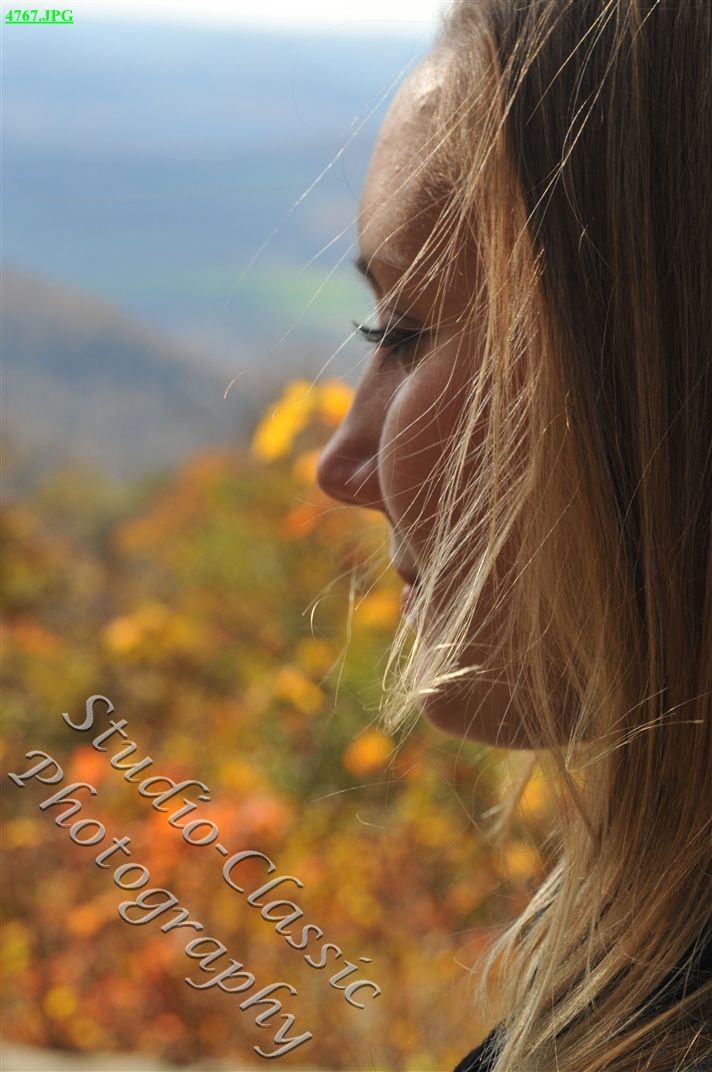 Stamford Senior