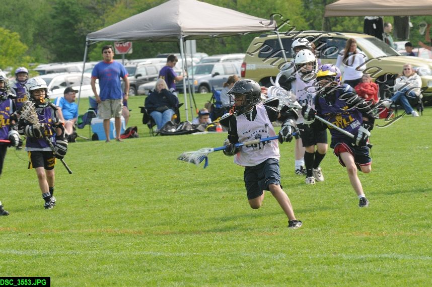 Albany Lacrosse Jamboree