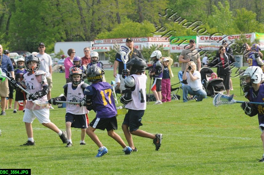 Albany Lacrosse Jamboree