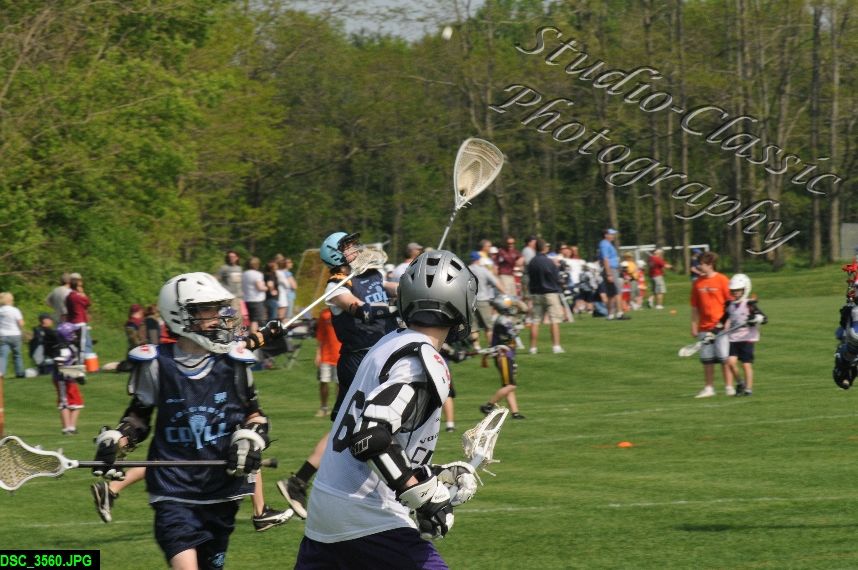 Albany Lacrosse Jamboree