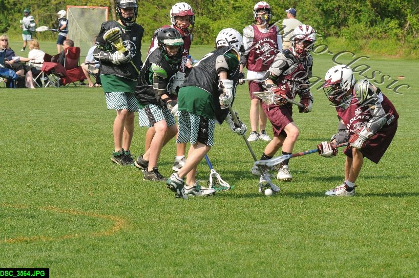 Albany Lacrosse Jamboree