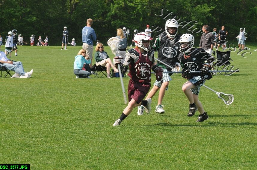 Albany Lacrosse Jamboree