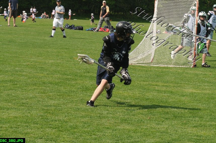 Albany Lacrosse Jamboree