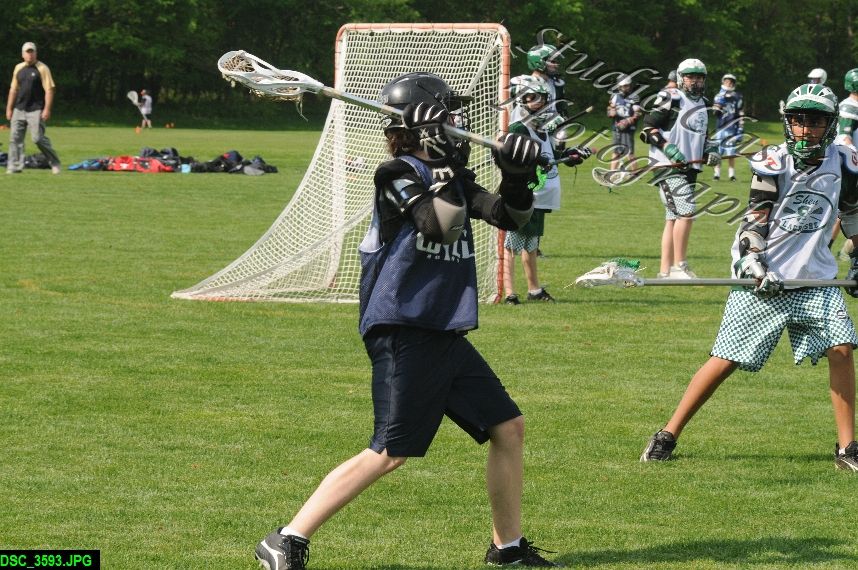 Albany Lacrosse Jamboree