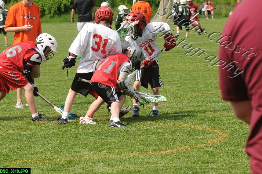 Albany Lacrosse Jamboree