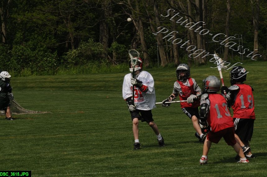 Albany Lacrosse Jamboree