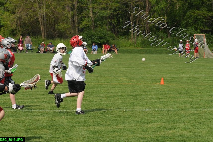 Albany Lacrosse Jamboree